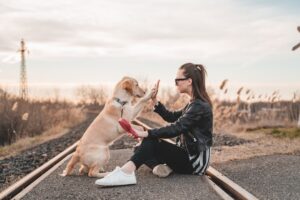 When a Dog Becomes Your Shadow: What That Deep Attachment Really Means