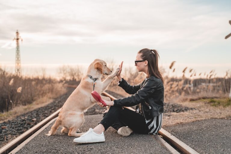 When a Dog Becomes Your Shadow: What That Deep Attachment Really Means