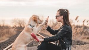 Why Some Dog Breeds Bond Best With Creative People