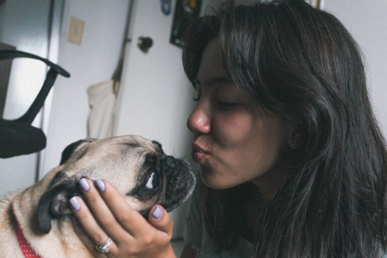 Why Some Dogs Thrive in Loud Homes - and Others Don't