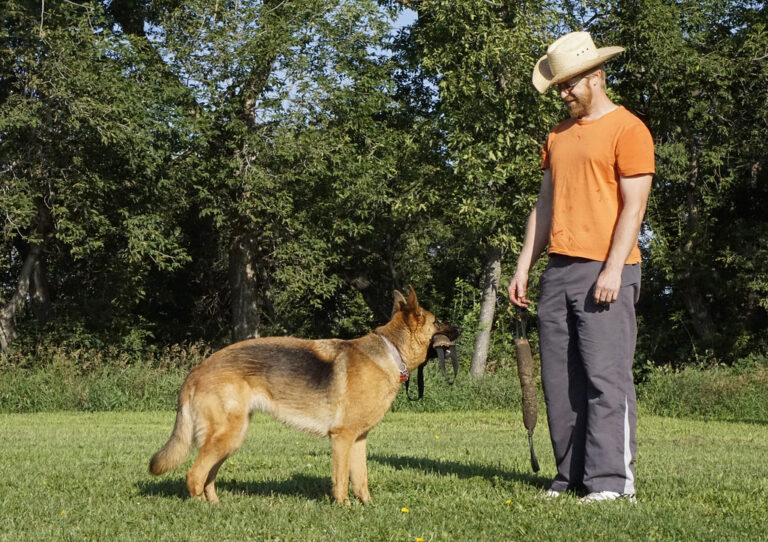 10 Dog Behaviors That Reveal What They Really Feel About You