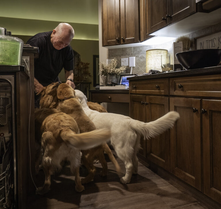 Why Air Signs Need Independent Dogs - and Fire Signs Need Loyal Ones