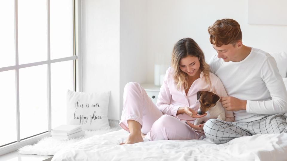 Why Matching Energy Matters More Than Size in Dog Ownership