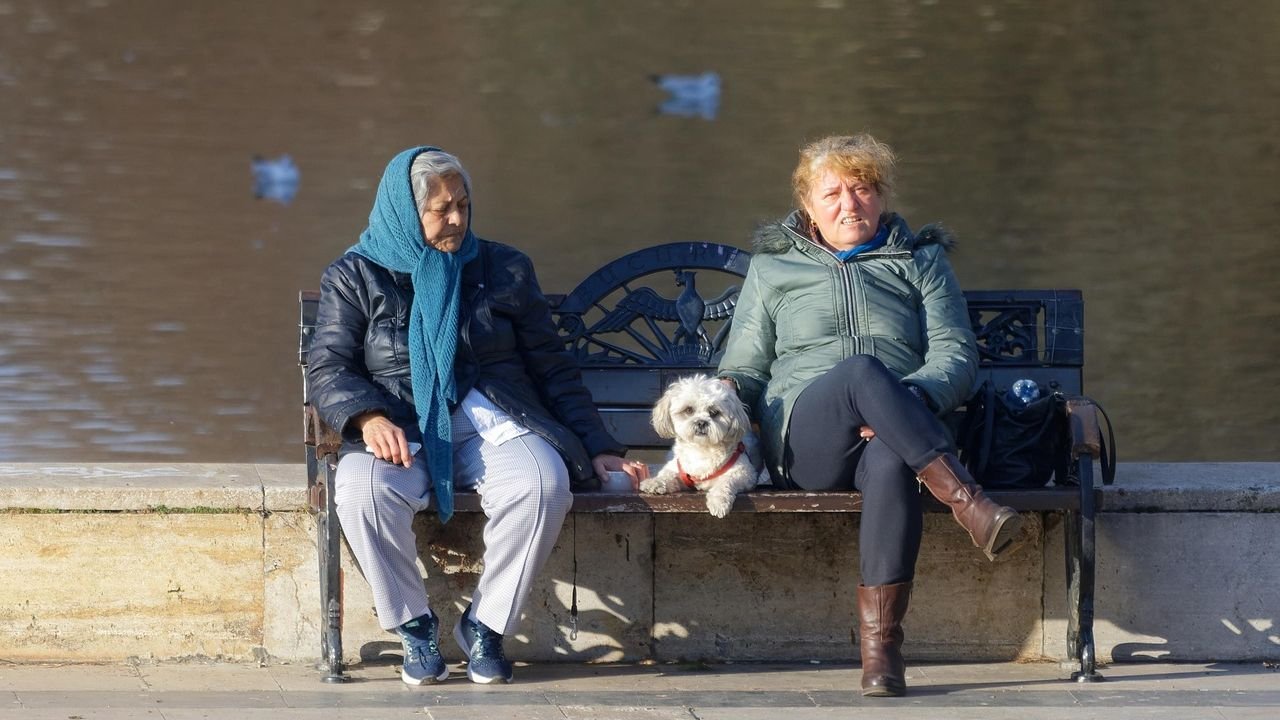 Why Small Dogs Make Big Impacts in Retirement Years