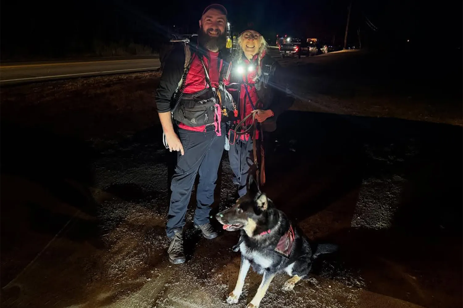Hero German Shepherd Braves Hours in the Cold to Rescue 2-Year-Old Girl Lost in the Woods