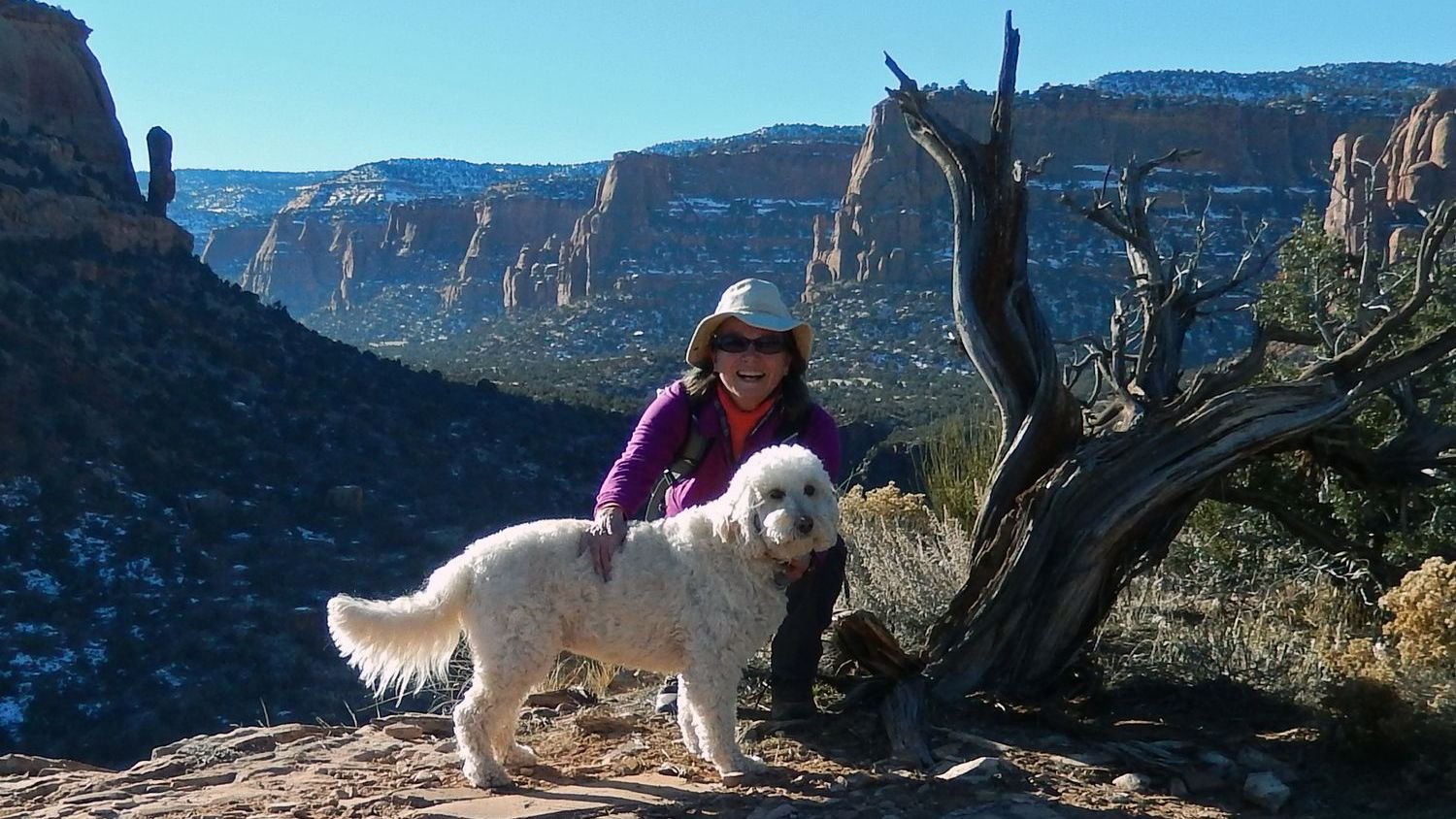 Which Zodiac Signs Make the Best Dog Trainers (and Which Don't)?