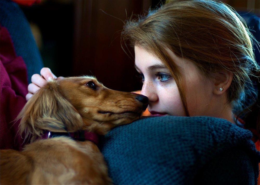 The Empathic Side of Dogs Few People Notice