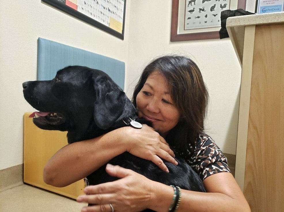 10 Times Dogs Refused to Leave Their Humans Behind