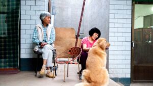 Why Senior Hearts and Old Dogs Heal Each Other
