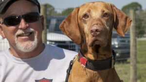 Why Praising a Dog Outperforms Punishment Every Time