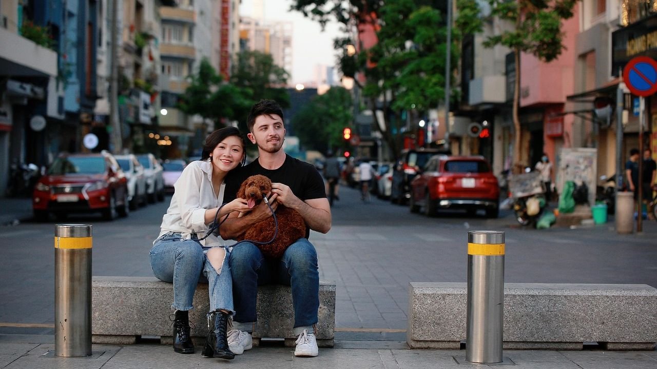 How Dogs Interpret Human Tone During Lessons