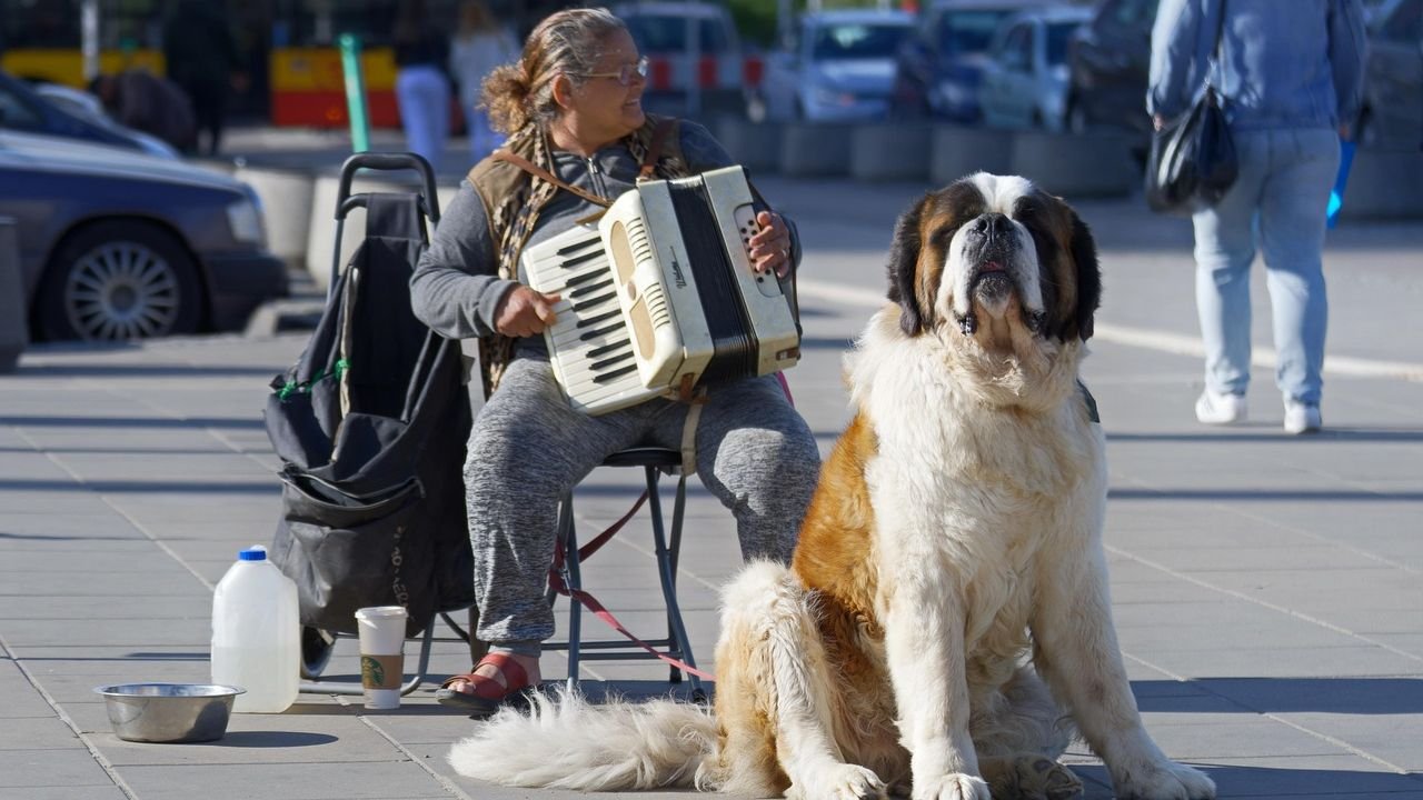 10 Ways Dogs Help Seniors Reconnect With Life
