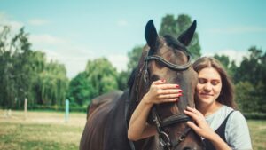 The Emotional Intelligence of Horses - and Why It Changes Riders Forever
