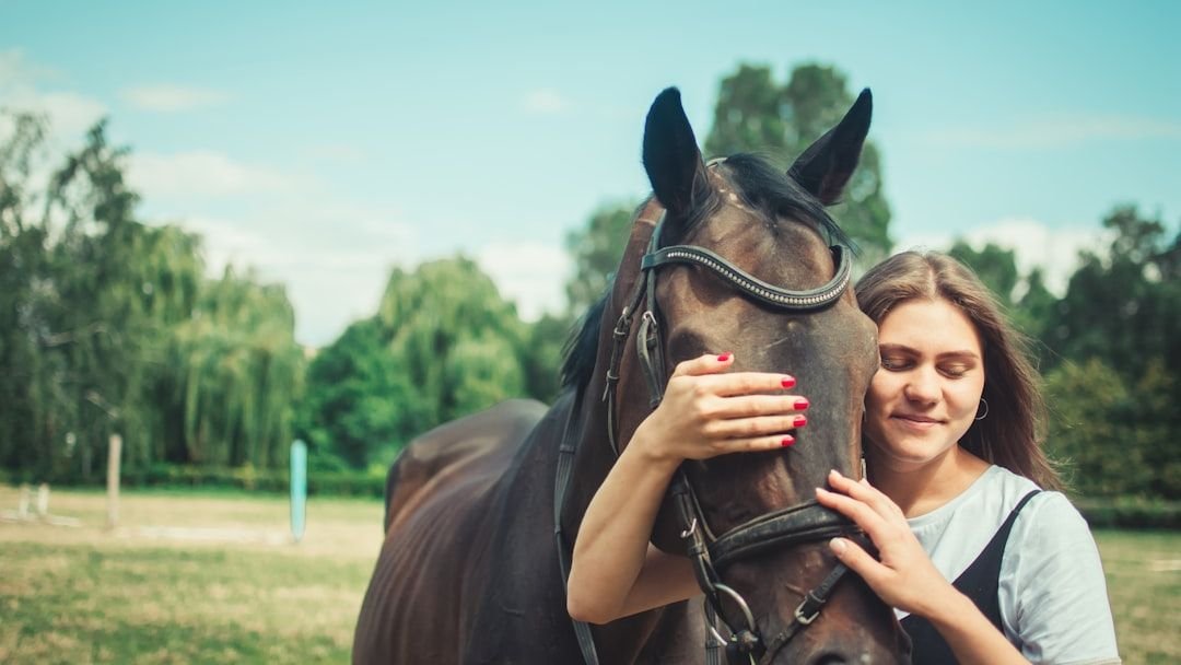 The Emotional Intelligence of Horses – and Why It Changes Riders Forever