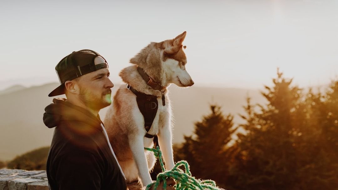 The Zodiac Signs That Dogs Naturally Gravitate Toward