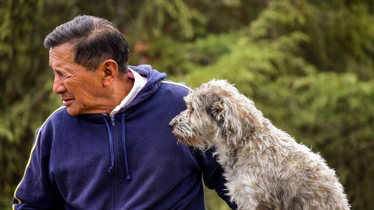 Why Senior Dogs and Senior Humans Understand Each Other Best