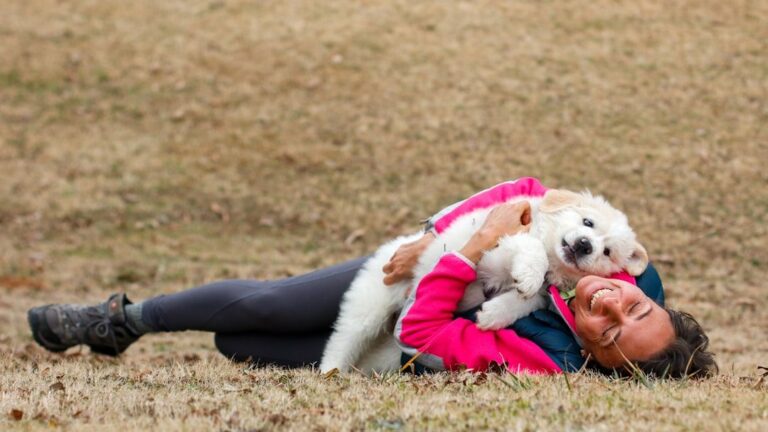 Why Capricorn Seniors Need Loyal Dogs - and Pisces Need Comforting Ones