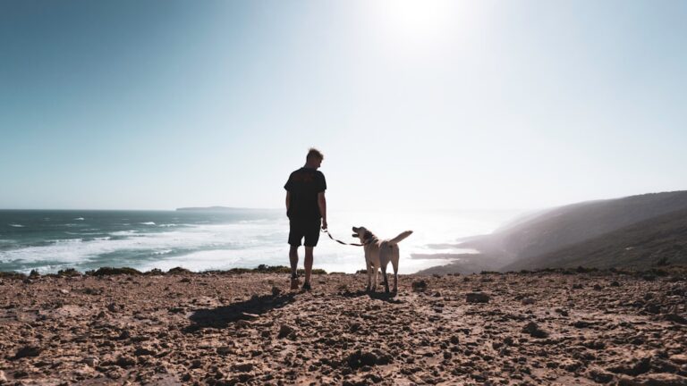 The Zodiac Signs That Should Adopt Senior Dogs - And Why