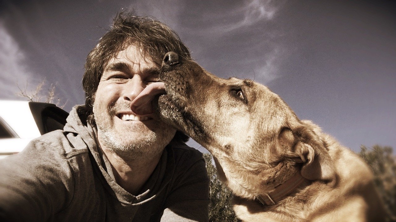 8 Reasons Dogs Forgive Humans Instantly
