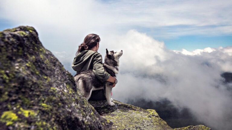 Which Zodiac Signs Need Dogs the Most for Emotional Balance?