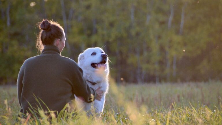 Why Some Zodiac Signs Understand Rescue Dogs Instantly