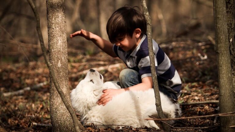 The Dog Breed That Matches A Virgo's Practical Nature