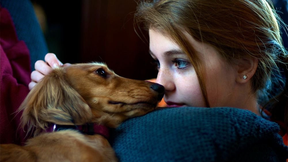 How Dogs Sense Grief and Try to Carry It With You