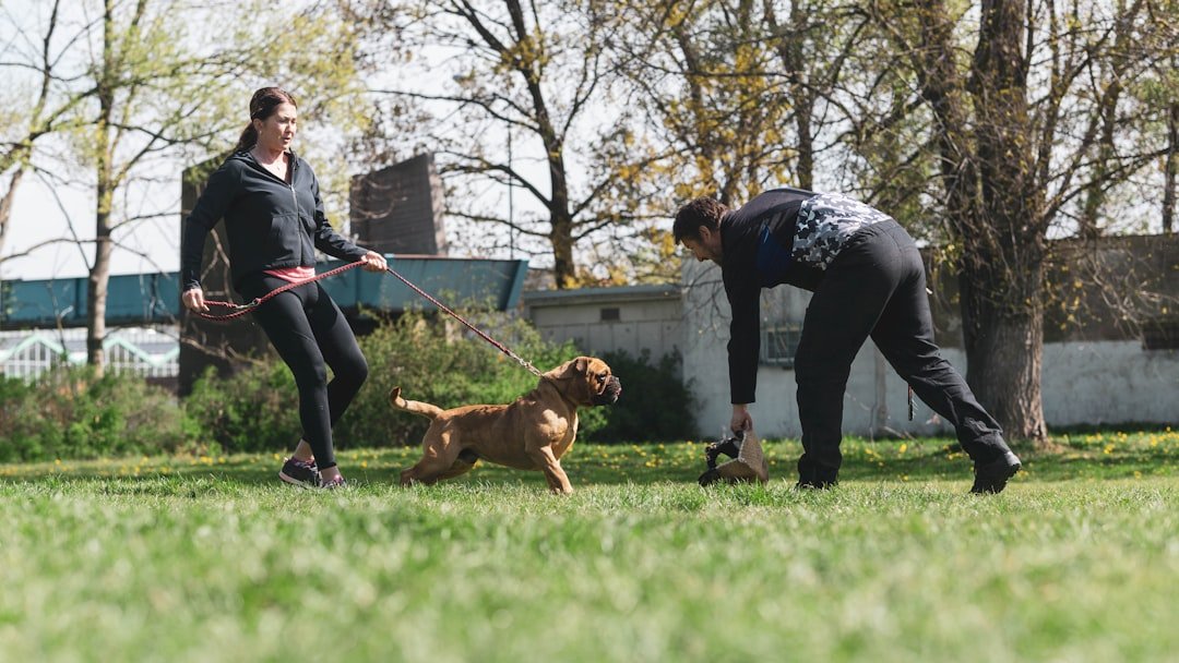Which Zodiac Signs Make the Most Patient Dog Trainers?