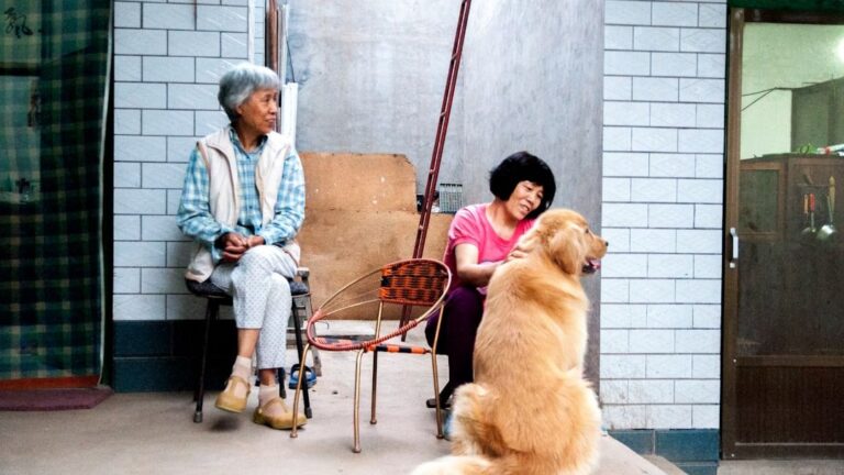 10 Ways Dogs Help Seniors Reconnect With Life
