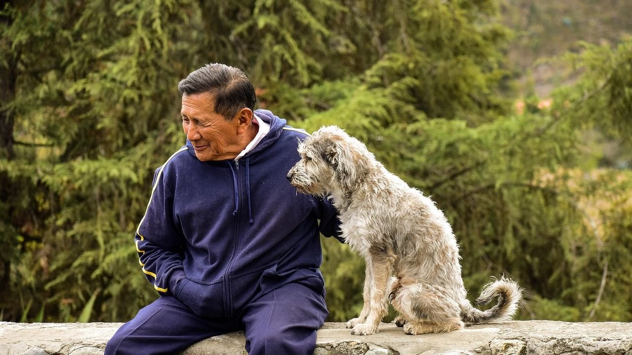 How Caring for a Dog Gives Retirees a New Routine