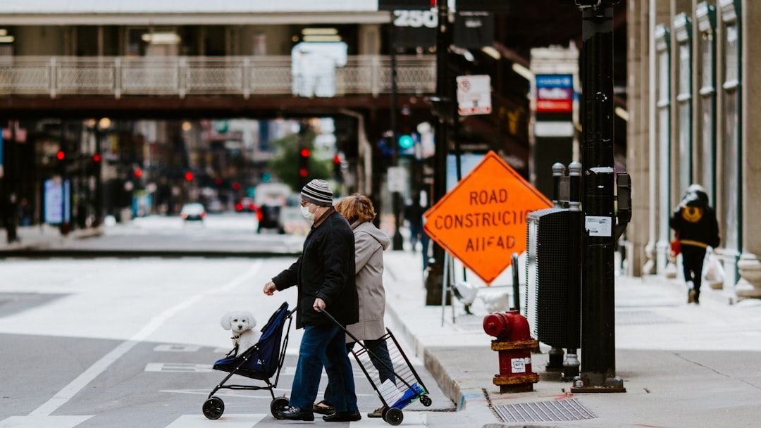 How Walking a Dog Becomes Therapy for Senior People