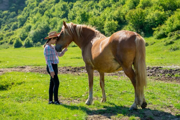 How Horses Teach Humans Patience, Presence, and Unconditional Trust