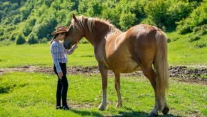 How Horses Teach Humans Patience, Presence, and Unconditional Trust