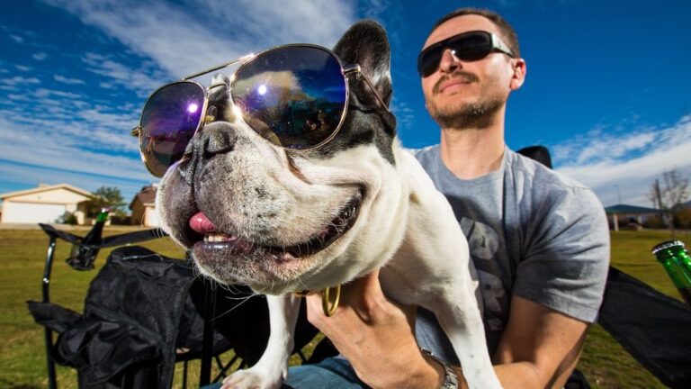 8 Silent Promises Every Dog Makes to Its Human