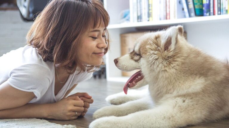 What Makes a Dog Choose a Favorite Person