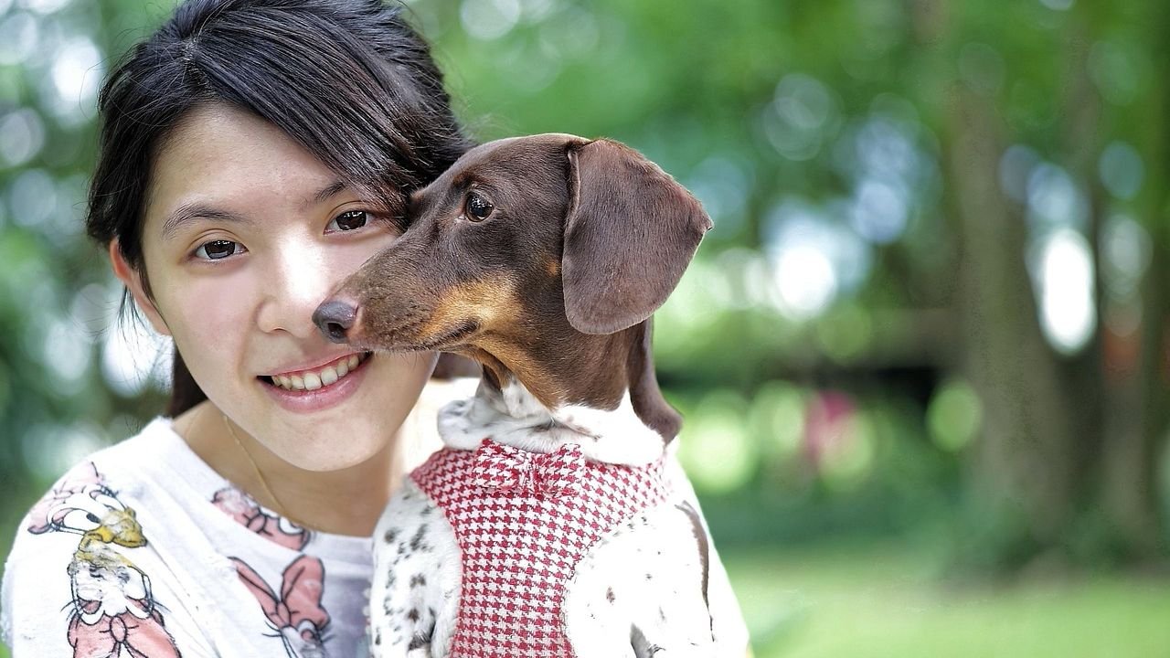 Is Your Dog a ‘Velcro’ Pup? Understanding Their Need for Closeness