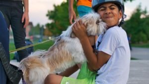 The Shih Tzu Charm: Why These Small Dogs Are Big on Love