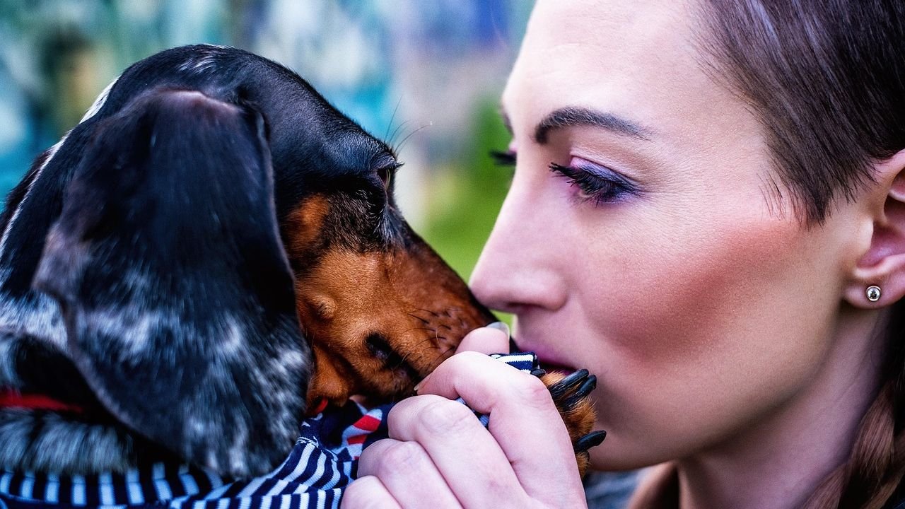 8 Dogs That Are Truly Loyal – And 8 That Are Independent