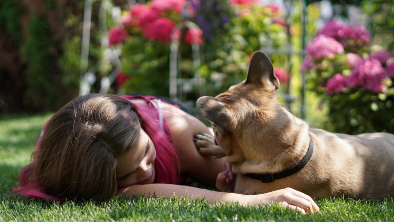 What It Means When Your Dog Puts Their Paw on You