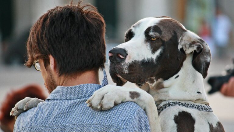10 Dog Breeds That Love to Nap With You