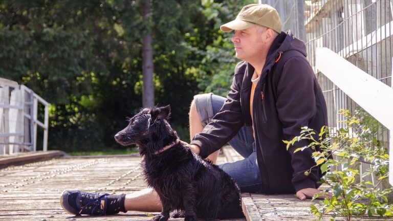 Why Does Your Dog Follow You Everywhere? Their Loyal Shadowing Act
