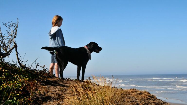 Why Do Some Dog Breeds Form Deeper Bonds with Their Owners