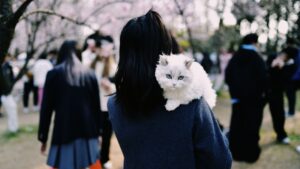 Do Cats Miss Their Owners? Here's What Science Says
