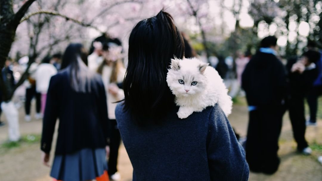 Do Cats Miss Their Owners? Here’s What Science Says