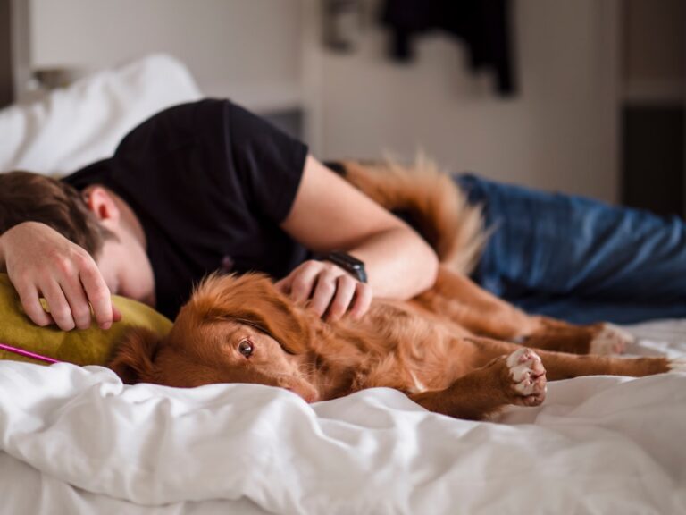 Why Does Your Dog Insist on Sleeping in Your Bed?