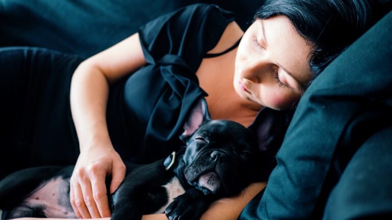 What Does It mean When My Dog Wants To Sleep With Me