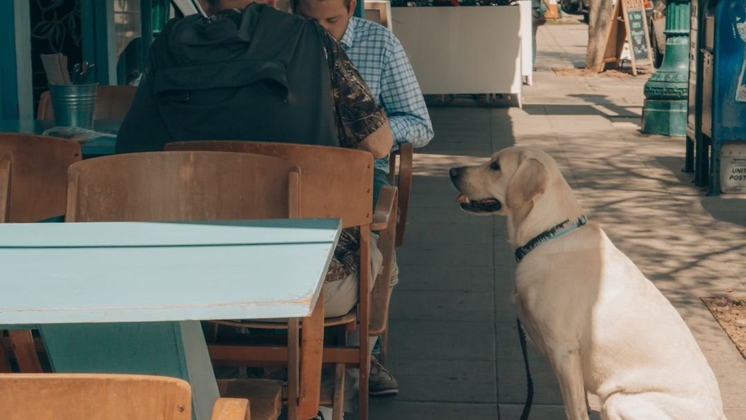 Is Your Dog a Picky Eater? 7 Tips to Make Mealtime Fun Again