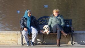 The Joy of a Senior Dog: Why Adopted Older Pups Bring So Much Happiness