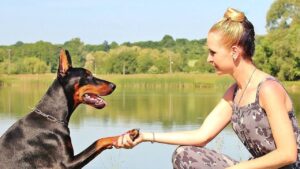 10 Dog Breeds That Are Natural Guard Dogs and 5 That Are Total Softies