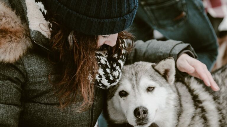 7 Things Your Dog Does That Mean 'Thank You' (and 7 Ways You Can Say It Back)